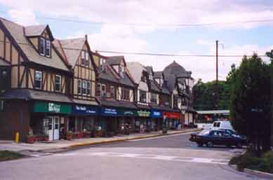 Downtown Swarthmore Business District
